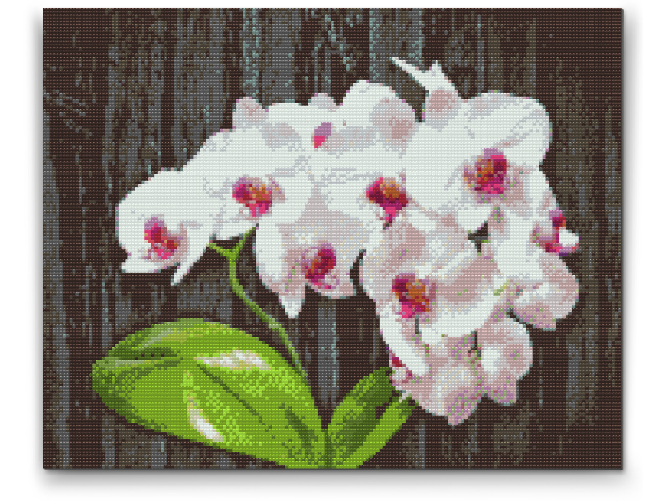 Diamantové malování - White Orchid